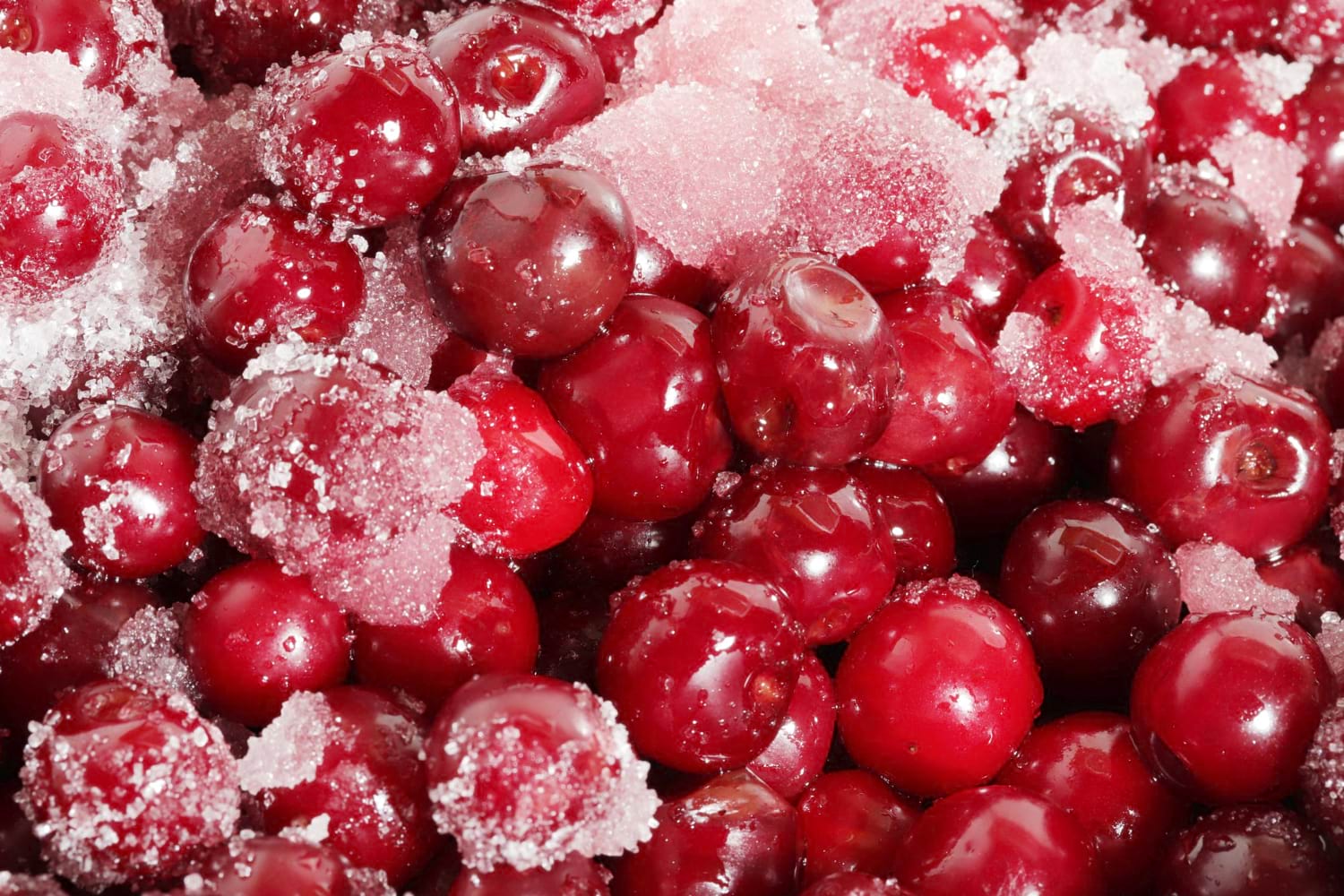 żurawina liofilizowana